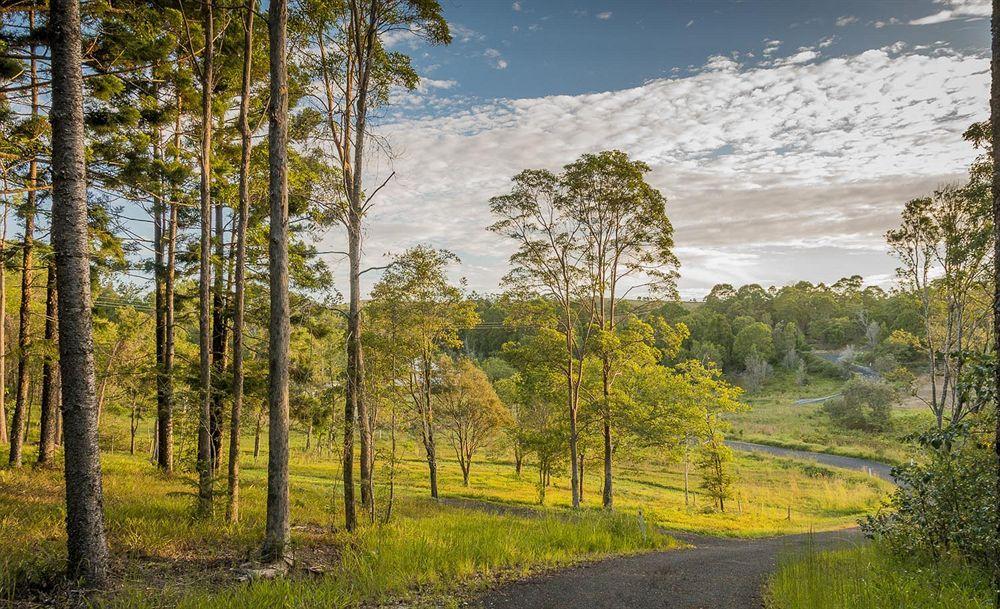 Abelia House Bed & Breakfast Byron Bay Exterior photo