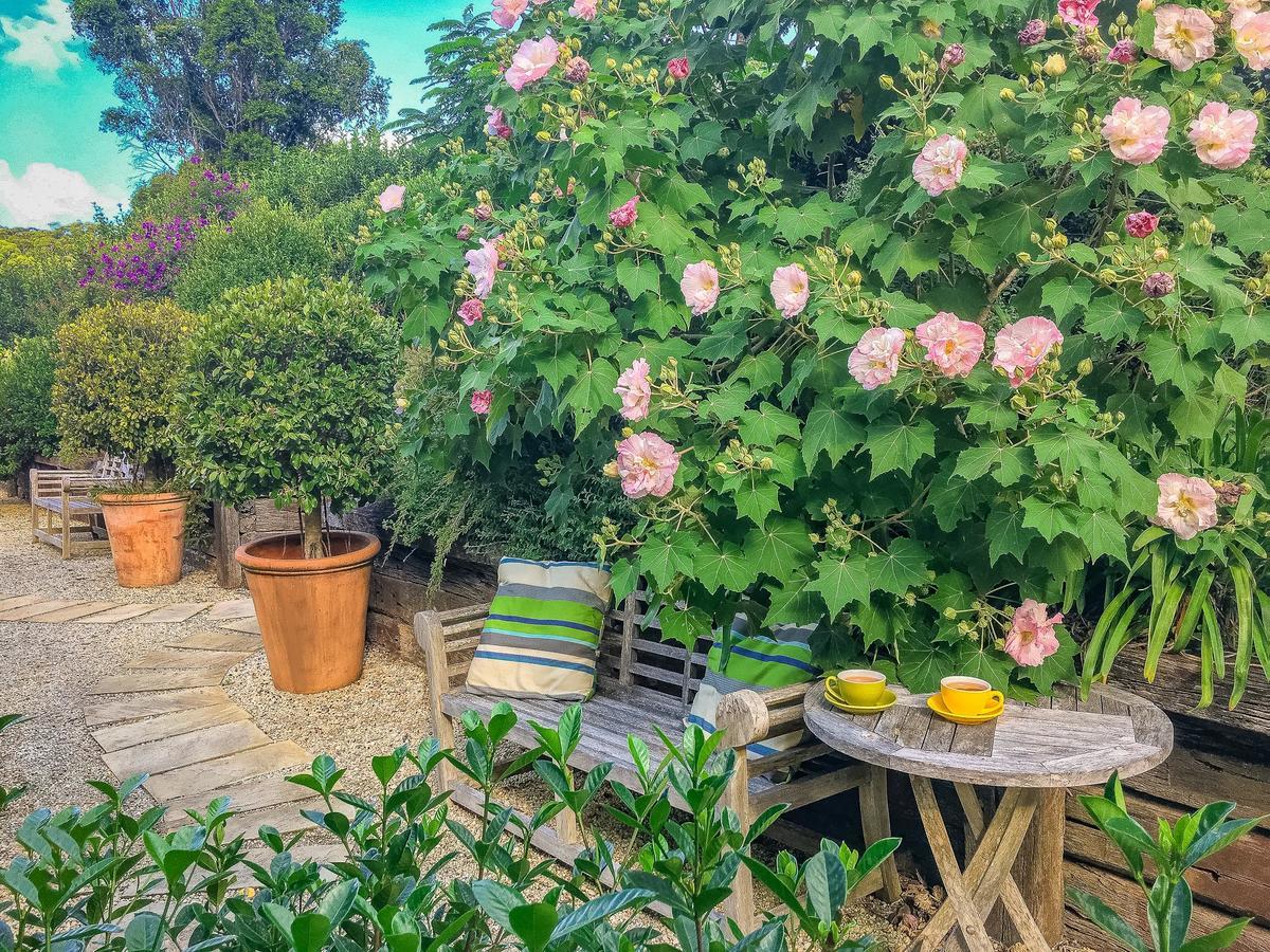 Abelia House Bed & Breakfast Byron Bay Exterior photo