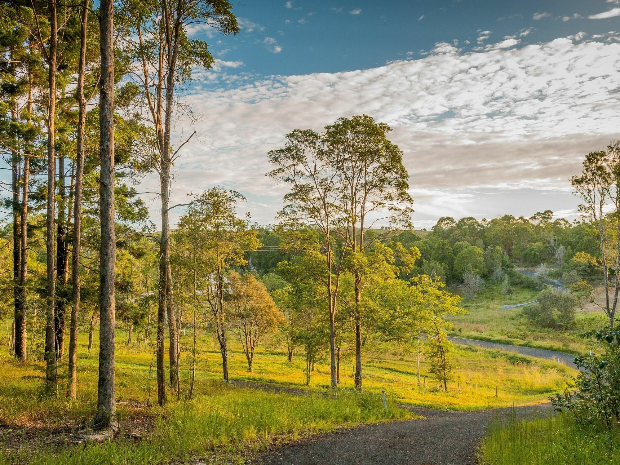 Abelia House Bed & Breakfast Byron Bay Exterior photo