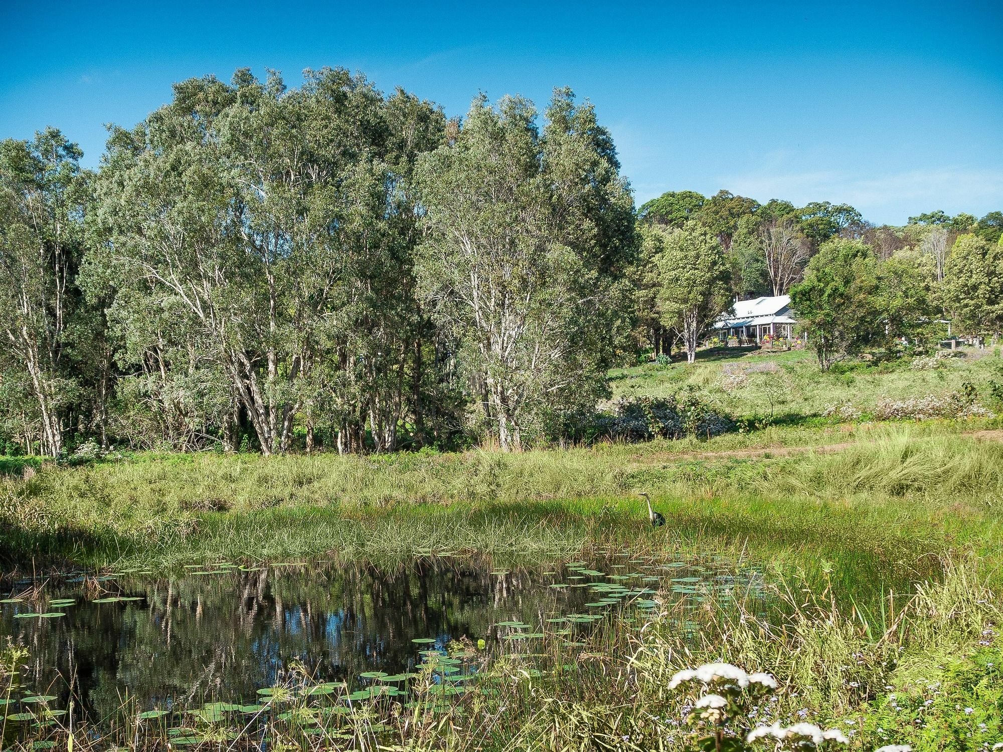 Abelia House Bed & Breakfast Byron Bay Exterior photo
