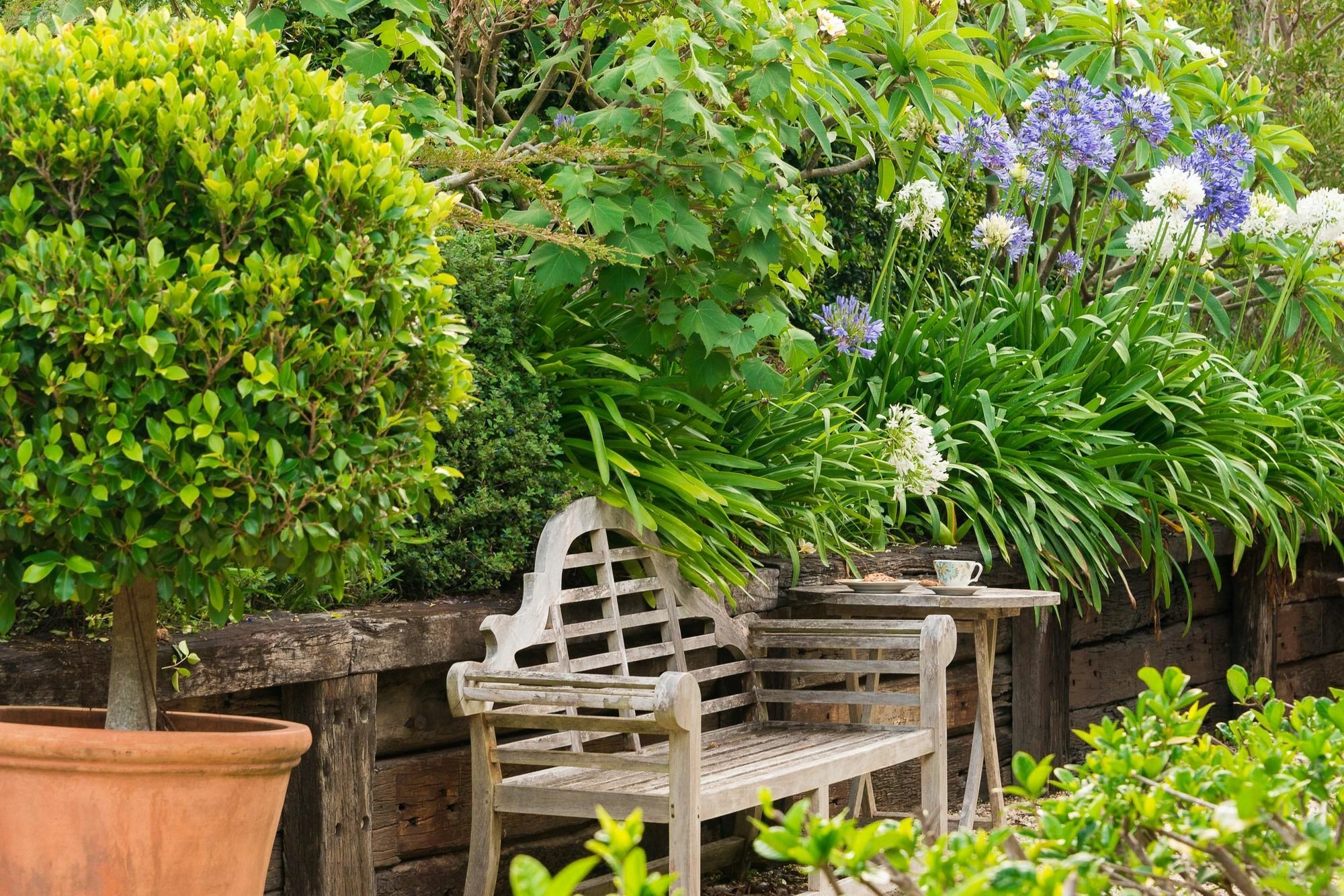 Abelia House Bed & Breakfast Byron Bay Exterior photo